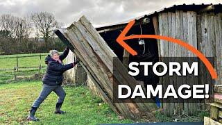 Overwhelmed by what to do now | Storm Damage