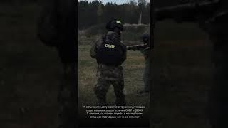 В Росгвардии учреждён Знак отличия СОБР и ОМОН I степени