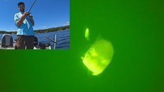 ANGRY LAKE TROUT tries to EAT my Jigging CAMERA- EPIC Underwater Footage