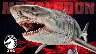 W Dragon Megalodon Review!!! It's INCREDIBLE!!!