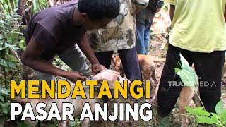 Pasar yang satu ini ramai akan hewan anjing | SISI LAIN