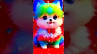 ll cute little cat wish studio #cute #short #wish #trends