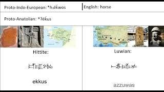 Hittite and Luwian | Anatolian Languages | Word Comparison