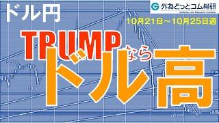 週刊為替レポートハロンズ・ダイジェスト（ドル/円）-10月21日～10月25日週