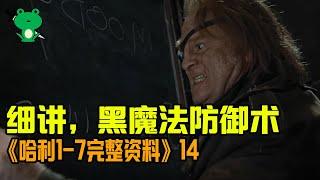 【細品哈利14】深度解析：魔法世界中 咒语的分类