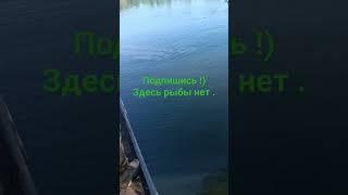 здесь рыбы нет ч.2