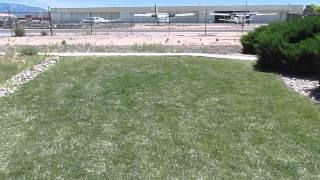 Locust invasion at NWS-Albuquerque office June 2nd 2014