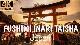 Fushimi Inari Taisha Temple : Kyoto ,Japan | 4K Cinematic travel video (  Visit Old Japan temples )