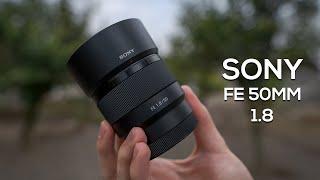 Sony FE 50MM 1.8 Video Autofocus Test | Is It ANY Good for Video? | FIRMWARE UPDATE (.03)