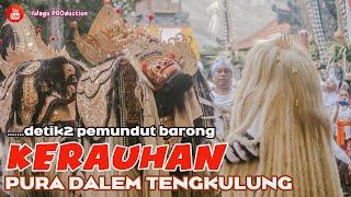 Detik-Detik Pemundut Barong KERAUHAN | Sesuhunan Tanjung Benoa Mepajar - Pura Dalem Tengkulung