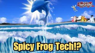 This *NEW SPICY TECH* Helped Frogs to Win an Edison Tournament | YGO Edison Format