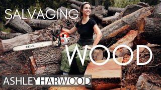 Woodturning: Salvaging Wood for bowls