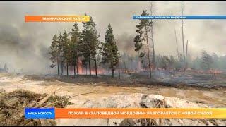 Пожар в «Заповедной Мордовии» разгорается с новой силой