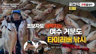 [피크닉TV] 가장 핫한 여수 참돔 타이러버 낚시