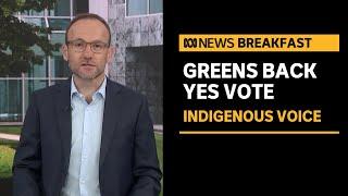 Greens will back the yes vote in the Voice referendum | ABC News