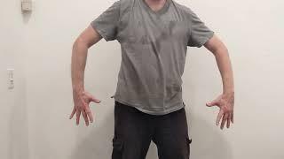 Xinyi Liuhe Quan - tips for "chicken step" 踩鸡步 esp. hands