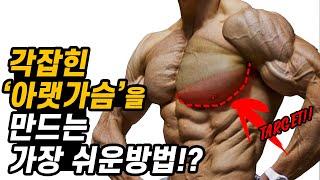 각진 '아랫 가슴'을 만드는 간단한 방법!? (99%가 잘못된 자세로 딥스를 합니다)