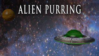 PORTEGO - Alien Purring