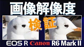 【画像解像度】検証。Canon EOSR6mark II＆EOSR２機種の比較。解像度の説明。キヤノンのフルサイズミラーレスEOSRとR6mark2の写真比較をしました。