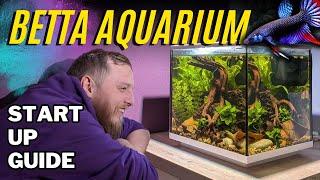 How to setup! Easy planted nature aquarium for a Wild Betta