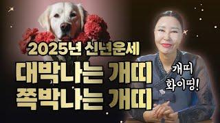 2025년 개띠신년운세 대박나는개띠 vs 쪽박나는개띠/일산용한점집 [더샤머니즘]