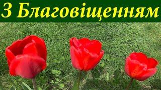 Привітання з Благовіщенням Богородиці! Свято Благовіщення Пресвятої Богородиці 25 березня 2024 року