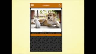 CARE4PETS ADD