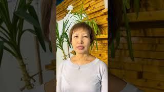 Баланс в жизни — секрет гармонии и финансового успеха: как сохранить деньги и увеличить доходы