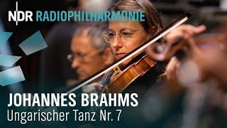 Johannes Brahms: Hungarian Dance No. 7 in F Major with Andrew Manze | NDR Radiophilharmonie