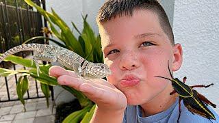 MY PET LIZARD!! Caleb & DAD CATCH LIZARDS and CATCHING BUGS in FLORIDA!