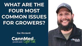 What are the four most common issues for growers? - Zac Ricciardi