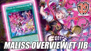 Yugioh Maliss Overview & Potential! Tier 1?! Ft. Team JNC Jib