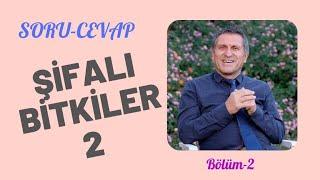 Şifalı bitkiler nedir, Yaraları ve faydaları nelerdir. Tanımı, özellikleri ve  nasıl demlenir.