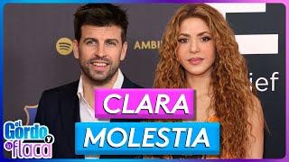 Gerard Piqué is reportedly hurt by Shakira, and the reason has to do with her concerts |  GYF