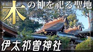 紀伊国一宮【伊太祁曽神社】木の神のパワースポット【和歌山県和歌山市】