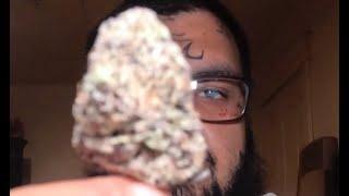 THCA EXOTIC FLOWER REVIEW!!! MANIAK BRAND!!! #HIPPIEHUT #ohiostate