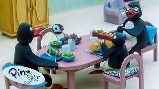 Pingu Spends Time with Friends & Family  | Pingu - Official Channel | Cartoons For Kids