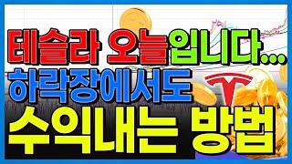 테슬라 오늘입니다. 하락장에서도 수익내는 방법은 다 있답니다