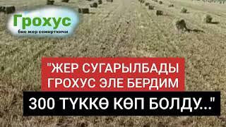 ГРОХУС ОРГАНИКАЛЫК ЖЕР СЕМИРТКИЧИНИН ЖЫЙЫНТЫКТАРЫ