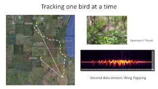 David Enstrom, INHS.  Remote monitoring of individual birds during migration: an overview.