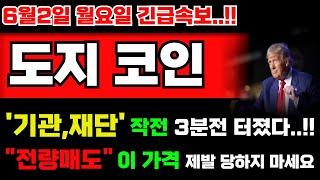 [도지 코인] 기관,재단 작전 3분전 터졌다...!! '이 내용' 놓치면 진짜 큰일납니다 무조건 확인하세요!!