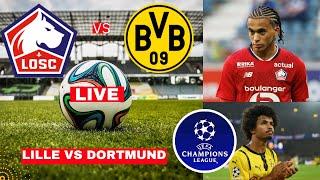 LOSC Lille vs Borussia Dortmund 1-2 Live Stream Champions League UCL Football Match Score Highlights