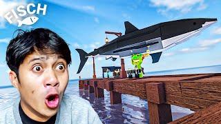 MASIH PEMULA, TAPI AKU BERHASIL DAPAT HIU PUTIH BESAR! (ROBLOX)