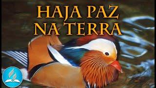 Hinário Adventista 495 - HAJA PAZ NA TERRA