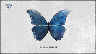 Razvan Mitroi - Don't Wanna Fight It (Official Lyric Video)