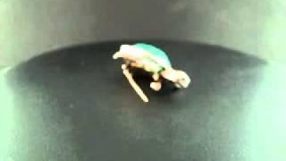 Emerald Turtle brooch