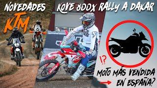 Kove 800X Rally a prueba / KTM y sus problemas / Motos Trail 2024