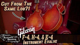 Ultra RARE 1910's Gibson Mandolins | Instrument Evaluation with David Harvey