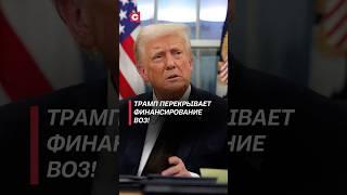 Трамп перекрывает финансирование ВОЗ! #трамп #сша #политика #новости #воз #экономика #медицина