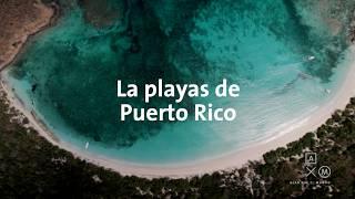 Así son las PLAYAS de PUERTO RICO 4K | Puerto Rico #3 Alan por el mundo